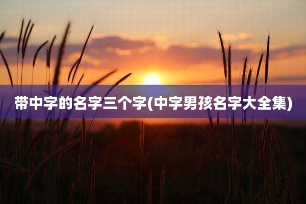 带中字的名字三个字(中字男孩名字大全集)