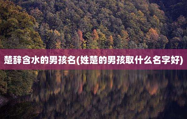 楚辞含水的男孩名(姓楚的男孩取什么名字好)