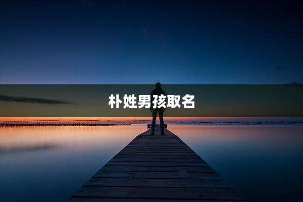 朴姓男孩取名