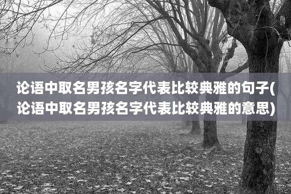 论语中取名男孩名字代表比较典雅的句子(论语中取名男孩名字代表比较典雅的意思)