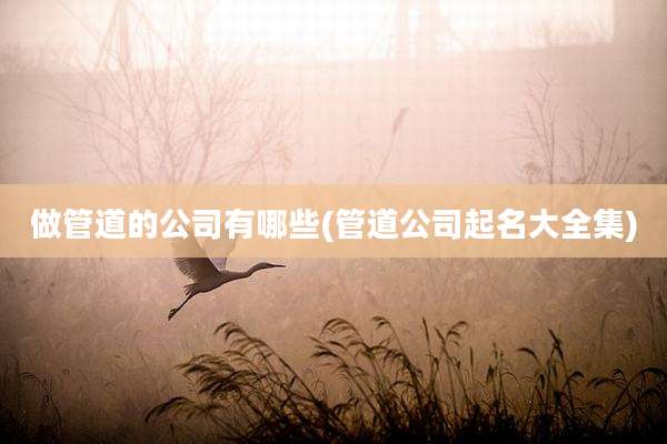 做管道的公司有哪些(管道公司起名大全集)