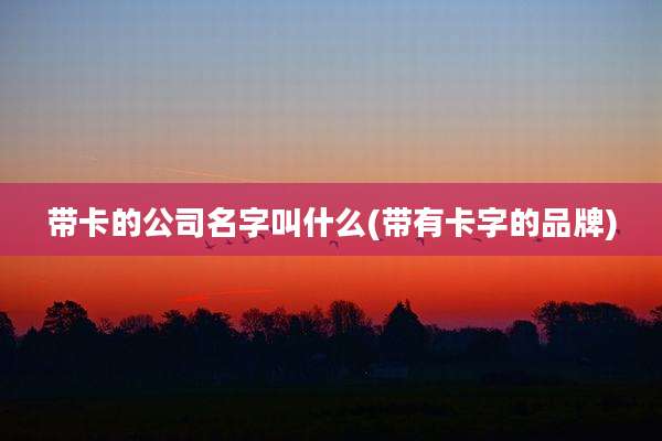 带卡的公司名字叫什么(带有卡字的品牌)