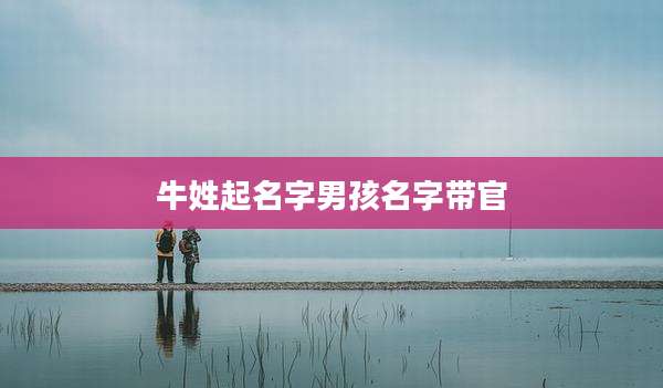 牛姓起名字男孩名字带官
