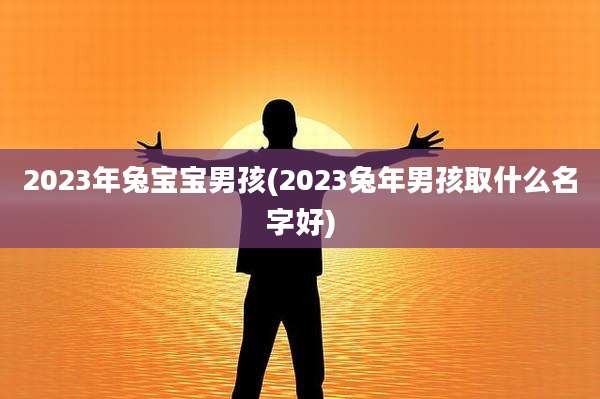 2023年兔宝宝男孩(2023兔年男孩取什么名字好)