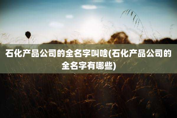 石化产品公司的全名字叫啥(石化产品公司的全名字有哪些)