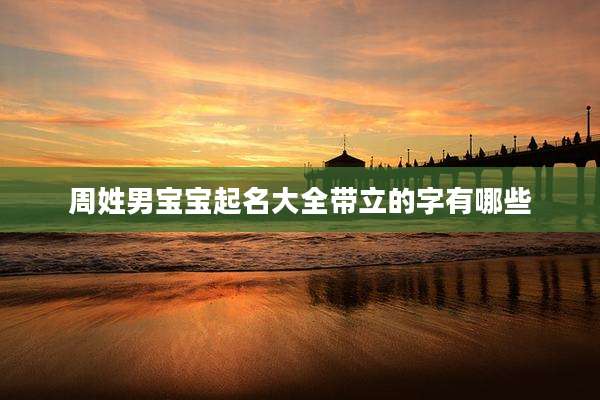 周姓男宝宝起名大全带立的字有哪些