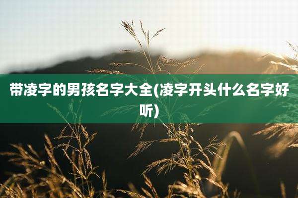 带凌字的男孩名字大全(凌字开头什么名字好听)