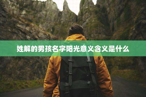 姓解的男孩名字阳光意义含义是什么