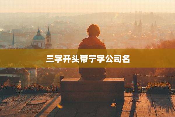 三字开头带宁字公司名