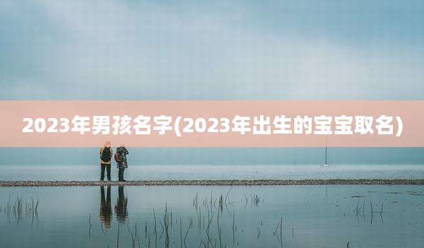 2023年男孩名字(2023年出生的宝宝取名)