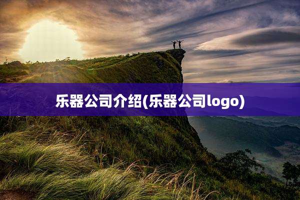 乐器公司介绍(乐器公司logo)