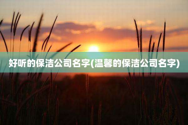 好听的保洁公司名字(温馨的保洁公司名字)