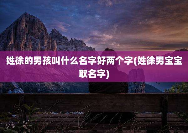 姓徐的男孩叫什么名字好两个字(姓徐男宝宝取名字)