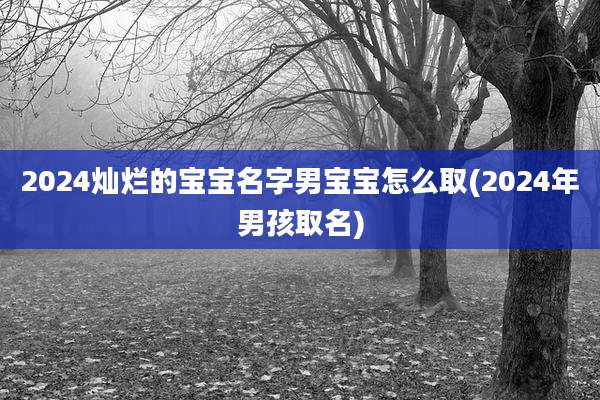 2024灿烂的宝宝名字男宝宝怎么取(2024年男孩取名)