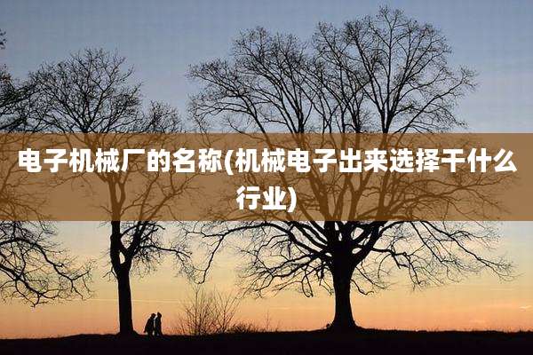 电子机械厂的名称(机械电子出来选择干什么行业)