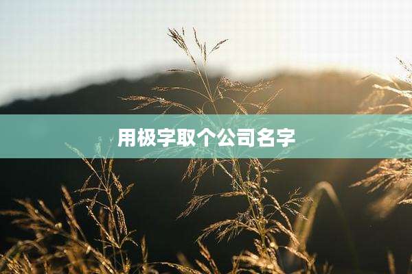 用极字取个公司名字