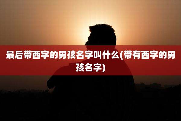 最后带西字的男孩名字叫什么(带有西字的男孩名字)