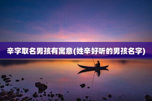 辛字取名男孩有寓意(姓辛好听的男孩名字)