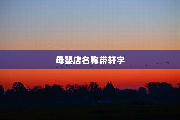 母婴店名称带轩字