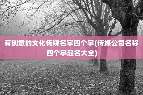 有创意的文化传媒名字四个字(传媒公司名称四个字起名大全)