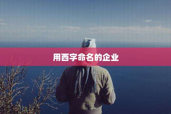 用西字命名的企业