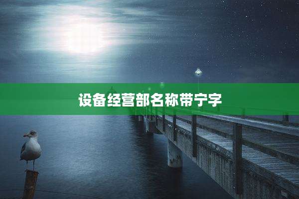 设备经营部名称带宁字