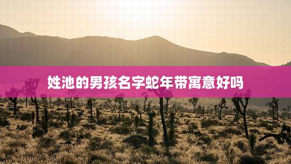 姓池的男孩名字蛇年带寓意好吗