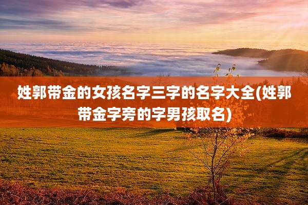 姓郭带金的女孩名字三字的名字大全(姓郭带金字旁的字男孩取名)
