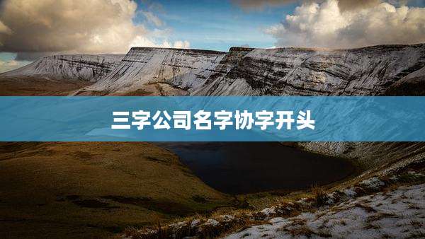 三字公司名字协字开头