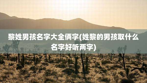 黎姓男孩名字大全俩字(姓黎的男孩取什么名字好听两字)