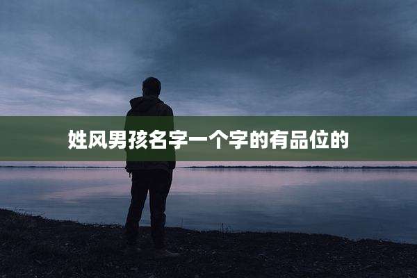 姓风男孩名字一个字的有品位的