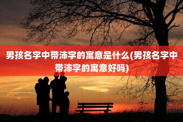 男孩名字中带沛字的寓意是什么(男孩名字中带沛字的寓意好吗)