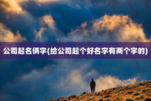 公司起名俩字(给公司起个好名字有两个字的)