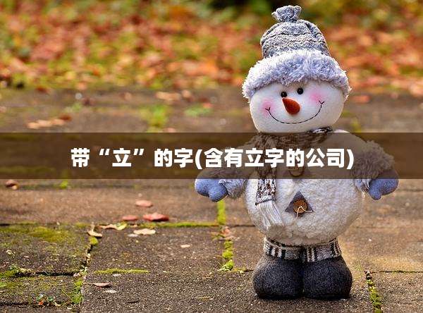 带“立”的字(含有立字的公司)