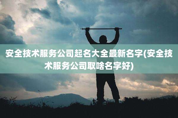 安全技术服务公司起名大全最新名字(安全技术服务公司取啥名字好)