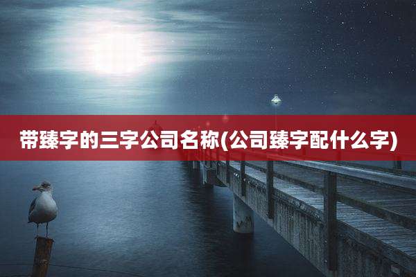 带臻字的三字公司名称(公司臻字配什么字)