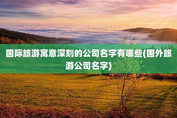 国际旅游寓意深刻的公司名字有哪些(国外旅游公司名字)