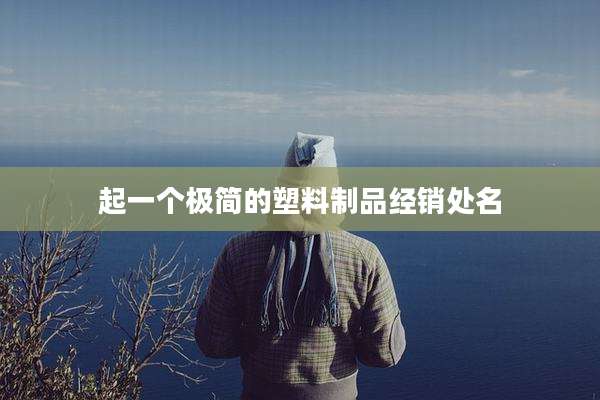 起一个极简的塑料制品经销处名