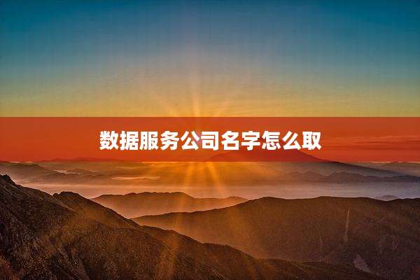 数据服务公司名字怎么取