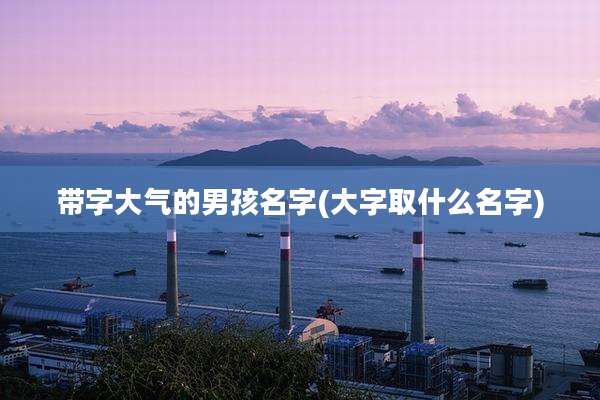 带字大气的男孩名字(大字取什么名字)