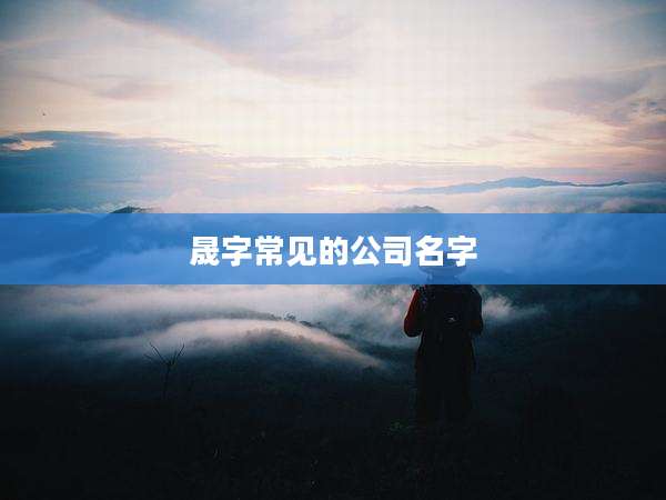 晟字常见的公司名字