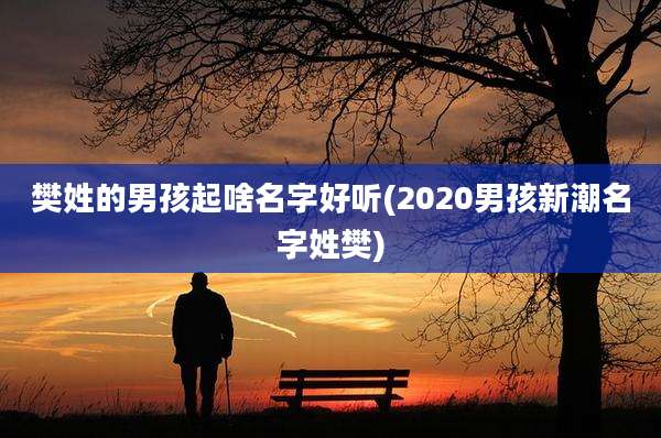 樊姓的男孩起啥名字好听(2020男孩新潮名字姓樊)