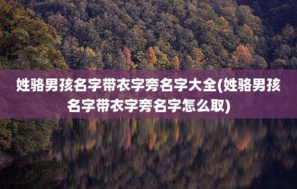 姓骆男孩名字带衣字旁名字大全(姓骆男孩名字带衣字旁名字怎么取)