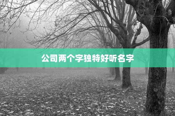 公司两个字独特好听名字