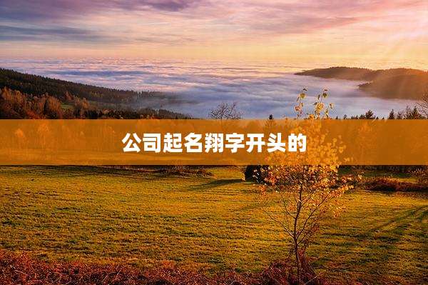 公司起名翔字开头的