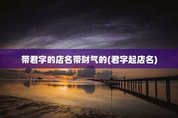 带君字的店名带财气的(君字起店名)
