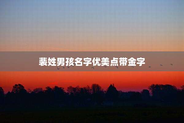 裴姓男孩名字优美点带金字