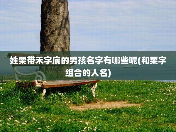 姓栗带禾字底的男孩名字有哪些呢(和栗字组合的人名)