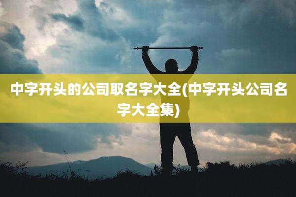 中字开头的公司取名字大全(中字开头公司名字大全集)