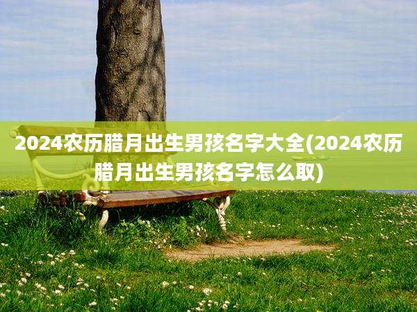 2024农历腊月出生男孩名字大全(2024农历腊月出生男孩名字怎么取)